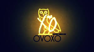 Yoo cm me up might ft mt my nos. Drake Owl Image On Wallpaper Hd Pic Hwb28099 1024x576 Wallpaper Teahub Io