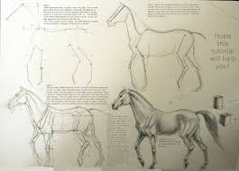 Horse Drawing Tutorial By Winnetah On Deviantart Horse Drawing Tutorial Horse Drawing Drawing Tutorial