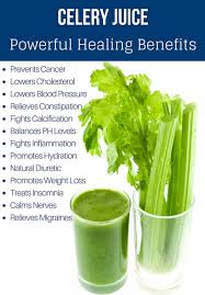 Amazing Health Benefits Of Celery Juice Celery Benefits Health Celery Benefits Healthy Juice Recipes