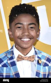 Steven miles hi-res stock photography and images