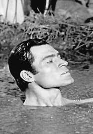 Cheyenne Chief Wolf Robe. 1904