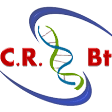 We did not find results for: Crbt On Twitter Programme Phc Maghreb Https T Co Qrmji8otw0 Https T Co Qrmji8otw0