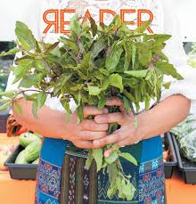 Chicago Reader print issue of August 19, 2021 (Vol. 50, No. 24) by Chicago  Reader 