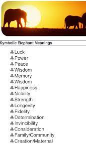 Elephant Tattoo Meaning Elephant Meaning Animal Symbolism