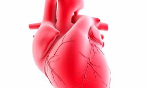 3D image may provide better size match • healthcare-in-europe.com