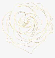 Maybe you would like to learn more about one of these? Gold Golden Goldroses Goldrose Goldenroses Goldenrose Floribunda Hd Png Download Transparent Png Image Pngitem