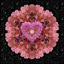Facebook Flower Power Beautiful Gif Felt Hearts
