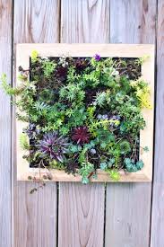 We did not find results for: Top 10 Diy Outdoor Succulent Garden Ideas