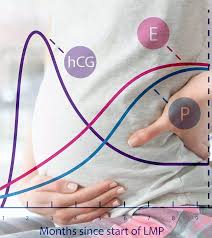 Image result for Pregnane Progestin