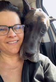 Great Dane Small Car