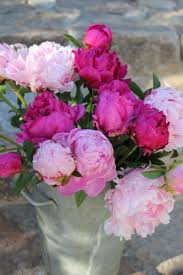 Pin On Flowers