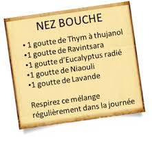 Nez Bouche Niaouli Et Menthe Poivree Mes 2 Huiles Essentielles Favorites Huiles Essentielles Aromatherapie En 2020 Huiles Essentielles Huile Essentielle Utilisation Nez Bouche