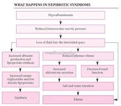 american journal of kidney diseases nephrotic syndrome