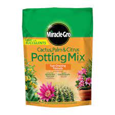 I am by no means a gardening expert & actually got these for free but i. Miracle Gro Cactus Palm Citrus Potting Mix 8qt Miracle Gro Stein S Garden Home