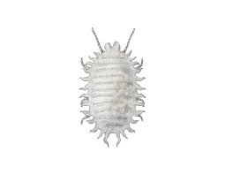 Image result for Mealybug cucumber