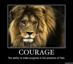 Courage Lion Animals Animals Beautiful