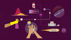 The organs involved with the immune system are called the lymphoid organs, which affect growth, development, and the release of lymphocytes (a certain type of white blood cell). Coronavirus Tips What To Know About Covid 19 Vox