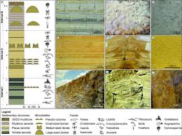 All qualities hd hd 720 sub indo tanpa sub. Towards An Actualistic View Of The Crato Konservat Lagerstatte Paleoenvironment A New Hypothesis As An Early Cretaceous Aptian Equatorial And Semi Arid Wetland Sciencedirect