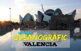 Maybe you would like to learn more about one of these? Guia Para Visitar El Oceanografic Valencia Dinkyviajeros