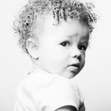 🧡 Highland Cow Mini Sessions 🐮🍂