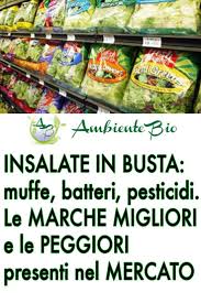 Insalate In Busta Muffe Batteri Pesticidi E Metalli Pesanti Ambiente Bio Idee Pasto Sano Alimenti Cibo Spazzatura