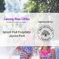 Splash Pad Play Date: Jaycee Park