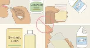 Because quitting cold turkey can be challenging, reduce your nicotine usage at least 2 weeks in advance. How To Pass A Nicotine Urine Test 13 Steps With Pictures
