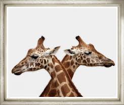 Trowbridge Crossing Giraffes Giraffe Art And Architecture Animals