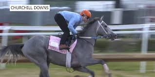 Lovely Grey's Journey to the Kentucky Oaks: From Shelbyville to Churchill Downs