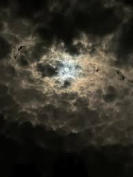 Sara Baez (@saritaivelisse) • Instagram photos and videos