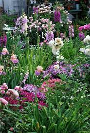Perfect Cottage Garden Color Combos Garten Pflanzen Garten Garten Bepflanzen