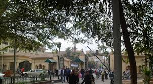 كلية العلوم، جامعة أسيوط، أسيوط، جمهورية مصر العربية. Ù‚ØµØ± Ø§Ù„Ø¹ÙŠÙ†ÙŠ ÙˆÙŠÙƒÙŠØ¨ÙŠØ¯ÙŠØ§