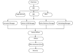 Organization Chart Aakarshan International Pvt Ltd