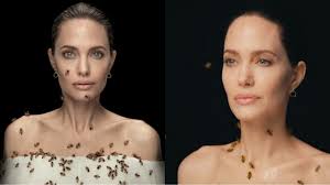 We did not find results for: Buzz Buzz Angelina Jolie Was Covered With Bees For Straight 18 Minutes Posing For National Geographic On The Occasion Of World Bee Day Iwmbuzz