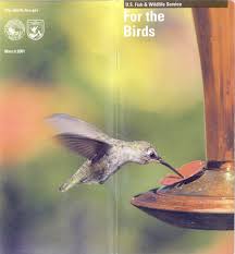 The reason being is it is meant to hold house sparrows. For The Birds By U S Fish Wildlife Service A Project Gutenberg Ebook