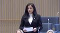 Sara Gille's Testimony Sparks Parliamentary Debate on Men's Violence Against Women