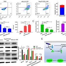 Horaires, plans, informations passagers, accès, parkings, hôtels, contacts. 1036928 Pdfs Review Articles In Therapy