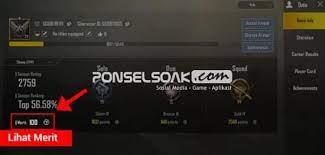 Penjelasan Lengkap Arti Cara Menaikkan Dan Apa Itu Merit Pubg Mobile