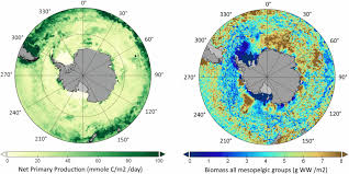 Frontiers Observational Needs Supporting Marine Ecosystems