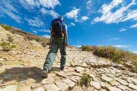 Corujado por fabiana anibal às 09:58 nenhum comentário. Coruja De Winnie The Pooh Imagem De Stock Editorial Imagem De Winnie 59752989