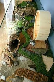Pin By Mene Pretorius On Animaux Hamster Habitat Hamster Cages Hamster Toys