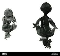 Image result for Rhabdophyllum welwitschii