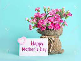 Second sunday of may (12 may) is observed as mother's day. Beautiful Blooming Of Pink Carnation Flowers On With Card And Stock Photo Picture And Royalty Free Image Image 73169731