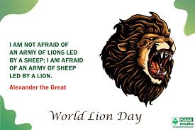 A lion sleeps in the heart of every brave man. — turkish proverb. Wishes World Lion Day 2021 Quotes Status Hd Images Theme Slogan For Whatsapp Facebook Update