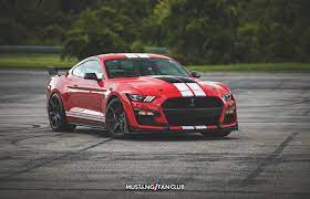 We did not find results for: 2021 Shelby Gt500 Color Options Mustang Fan Club