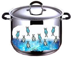 Vapor Pressure And Water