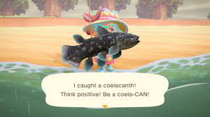 But there are things that you shouldn't sell you can't freely manipulate the camera in animal crossing new horizons. Animal Crossing New Horizons All Fish Selling Prices