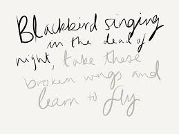Blackbird Singing In The Dead Of Night Lyrics And Chords Blackbird Beatles Beatles Lyrics The Beatles Blackbird Lyrics