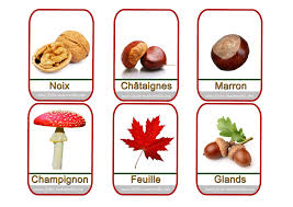 Imagier Legumes Automne Imagier Automne