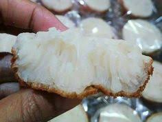 We did not find results for: 54 Ide Apem Di 2021 Resep Kue Makanan